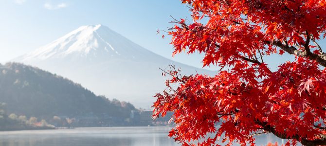 2016 日本東京賞楓微心得 2016 日本東京賞楓微心得